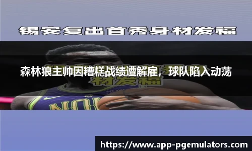 森林狼主帅因糟糕战绩遭解雇，球队陷入动荡