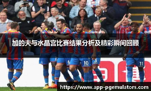 加的夫与水晶宫比赛结果分析及精彩瞬间回顾