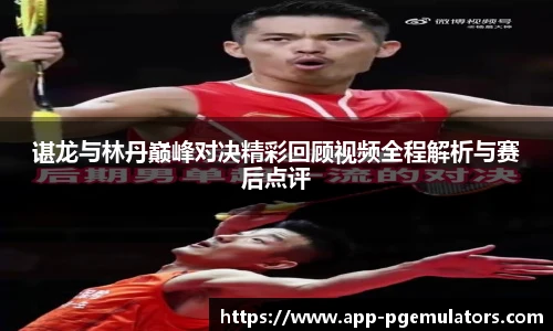 谌龙与林丹巅峰对决精彩回顾视频全程解析与赛后点评