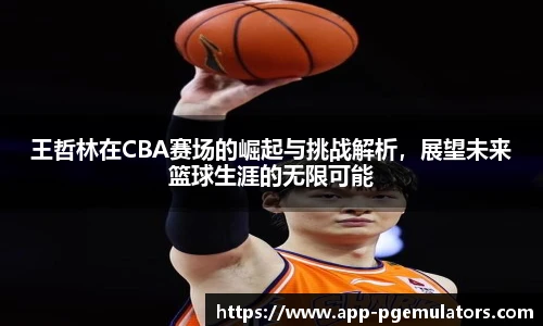 王哲林在CBA赛场的崛起与挑战解析，展望未来篮球生涯的无限可能
