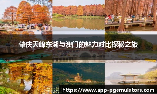 肇庆天峰东湖与澳门的魅力对比探秘之旅
